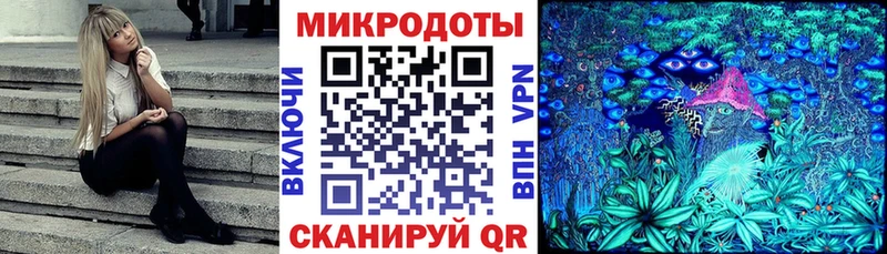 Галлюциногенные грибы Cubensis  закладка  Палласовка 